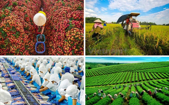 Phát triển kinh tế tuần hoàn trong nông nghiệp trên thế giới và một số khuyến nghị đối với Việt Nam