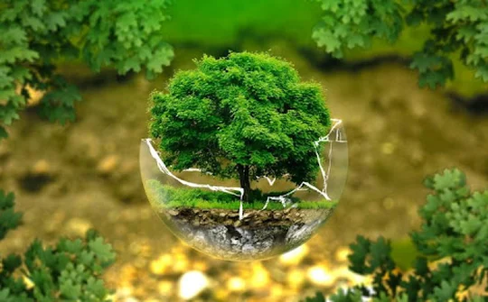 Sửa quy định về Kiểm lâm và Lực lượng chuyên trách bảo vệ rừng