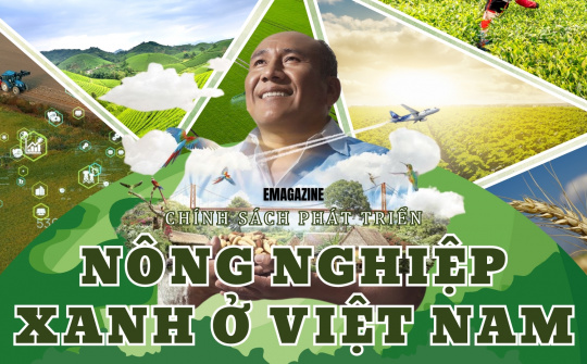 Chính sách phát triển nông nghiệp xanh ở Việt Nam