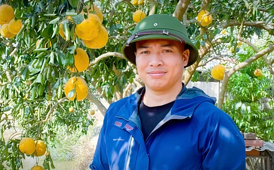 Dương Thành Trung - Người đàn ông rời phố về quê làm "Tá Điền thời hiện đại"