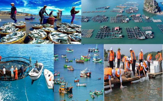 Kế hoạch thực hiện Quy hoạch bảo vệ và khai thác nguồn lợi thủy sản thời kỳ 2021 – 2030