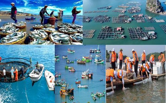 Kế hoạch thực hiện Quy hoạch bảo vệ và khai thác nguồn lợi thủy sản thời kỳ 2021 – 2030