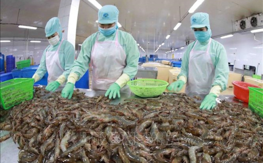 Việt Nam: Xuất khẩu thủy sản đạt 10 tỷ USD