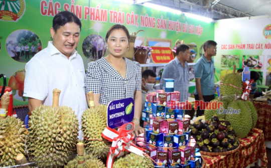 Nhiều chính sách hỗ trợ doanh nghiệp nhỏ và vừa ở Bình Phước