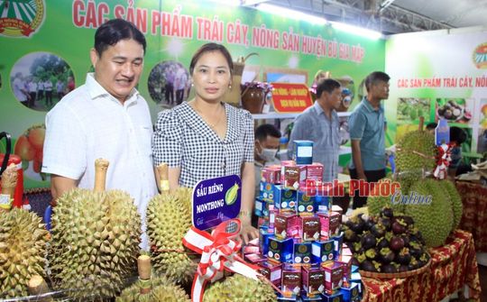 Nhiều chính sách hỗ trợ doanh nghiệp nhỏ và vừa ở Bình Phước