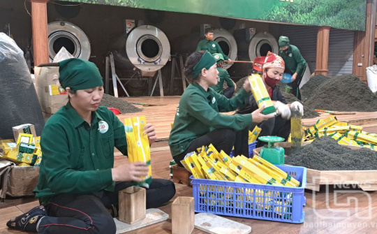 Thái Nguyên: Hiệu quả trong công tác hỗ trợ pháp lý cho doanh nghiệp nhỏ và vừa năm 2024