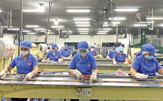 Khánh Hoà: Tiếp tục hỗ trợ pháp lý cho doanh nghiệp nhỏ và vừa năm 2024 - 2025