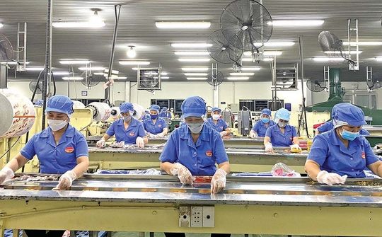 Khánh Hoà: Tiếp tục hỗ trợ pháp lý cho doanh nghiệp nhỏ và vừa năm 2024 - 2025