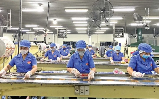 Khánh Hoà: Tiếp tục hỗ trợ pháp lý cho doanh nghiệp nhỏ và vừa năm 2024 - 2025