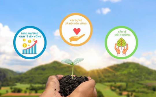 Tích cực đẩy mạnh phát triển bền vững trong doanh nghiệp nhỏ và vừa