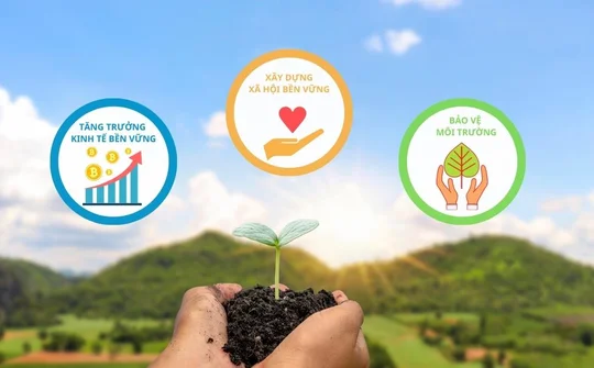 Tích cực đẩy mạnh phát triển bền vững trong doanh nghiệp nhỏ và vừa