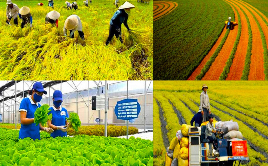 Nông nghiệp Việt Nam: Đảm bảo an ninh lương thực, mở rộng thị trường xuất khẩu