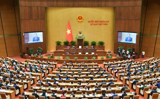 Ý kiến của nhà khoa học được tiếp thu tối đa trong xây dựng luật