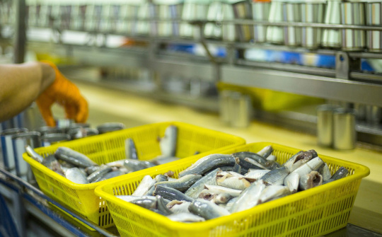 Hanoi to turn fisheries into important sector