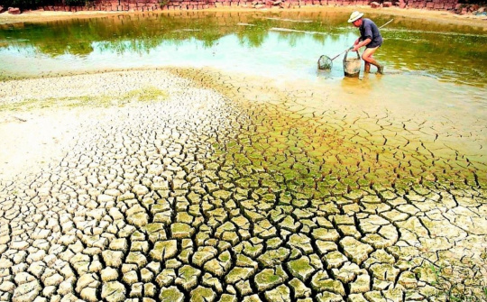 Chủ động phòng, chống hạn hán, thiếu nước, xâm nhập mặn