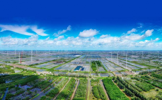 Hiện thực hóa tăng trưởng xanh gắn với phát triển kinh tế - xã hội