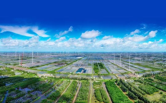 Hiện thực hóa tăng trưởng xanh gắn với phát triển kinh tế - xã hội