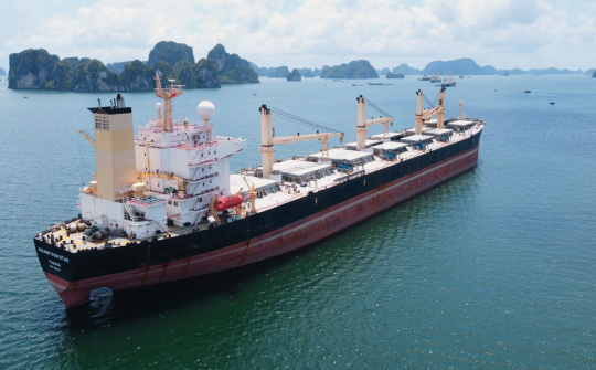 Hoanh Son Group joint Stock Company Journey to reach new Heights