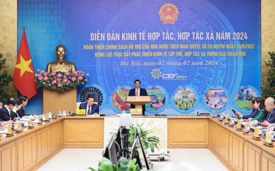 Đổi mới toàn diện chính sách hỗ trợ để các HTX tăng cường liên kết, tự lực, tự cường vươn lên