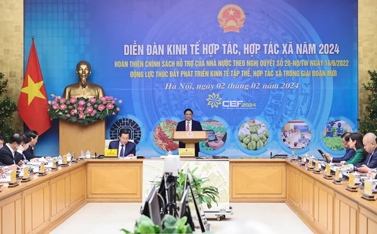 Đổi mới toàn diện chính sách hỗ trợ để các HTX tăng cường liên kết, tự lực, tự cường vươn lên