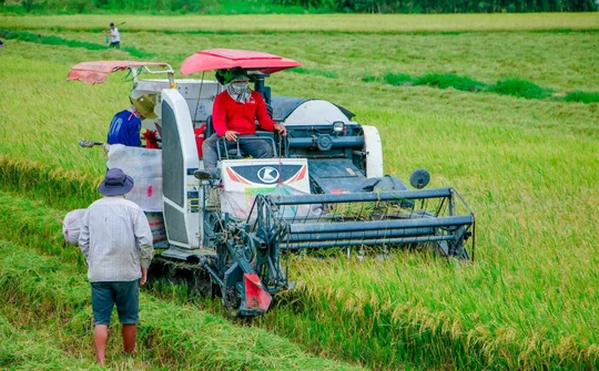 Triển khai Nghị quyết của Quốc hội về các cơ chế đặc thù thực hiện các chương trình mục tiêu quốc gia