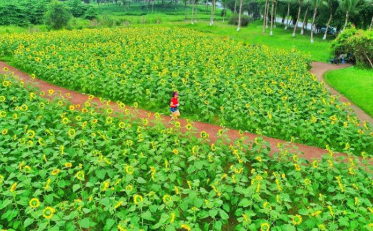 “Thiên đường” của người yêu thể thao trong đô thị xanh lớn nhất miền Bắc