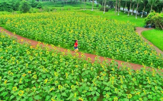 “Thiên đường” của người yêu thể thao trong đô thị xanh lớn nhất miền Bắc