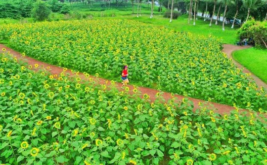 “Thiên đường” của người yêu thể thao trong đô thị xanh lớn nhất miền Bắc