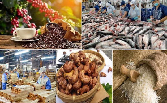 Giá trị xuất siêu nông lâm thủy sản của Việt Nam tăng gần gấp ba