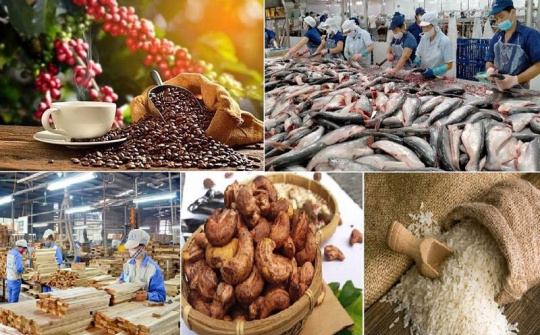 Tăng cường kết nối logistics thúc đẩy tiêu thụ, xuất khẩu nông lâm thủy sản