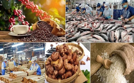 Tăng cường kết nối logistics thúc đẩy tiêu thụ, xuất khẩu nông lâm thủy sản