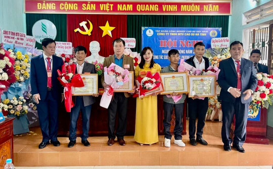Công ty TNHH MTV Cao su Hà Tĩnh phấn đấu doanh thu 126 tỷ trong năm 2024