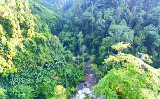 Tết rừng - Luật tục bảo vệ rừng riêng của đồng bào Mông Nà Hẩu