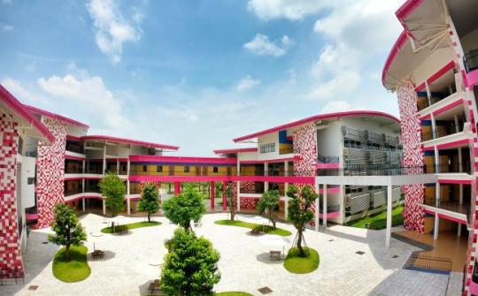 Cuối tuần năng động trải nghiệm Lễ hội Hạnh phúc tại khuôn viên xanh TH School Hòa Lạc