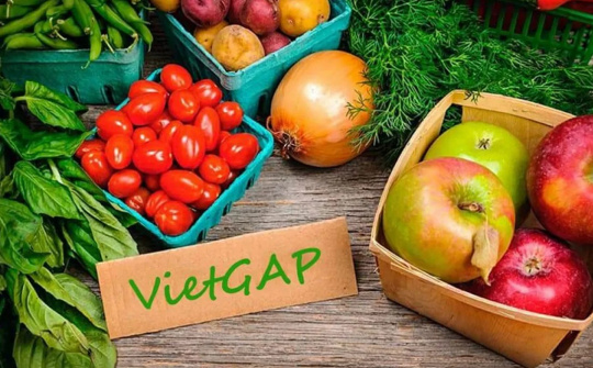 Long An awarded VietGAP certificates to 42 agricultural production facilities