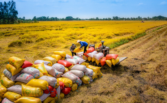 Vietnam’s rice looks for high value export