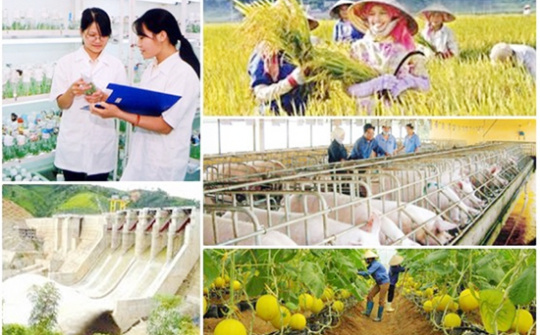 Tháo gỡ khó khăn các chương trình mục tiêu quốc gia