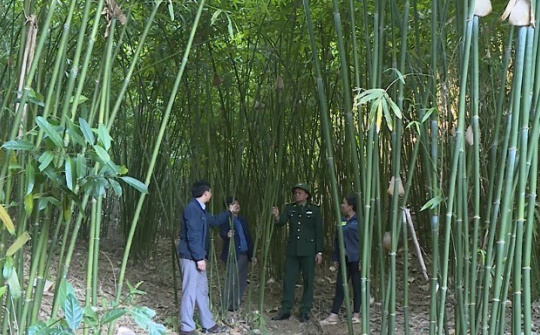 Mọi nhiệm vụ tại Yên Khương đều hướng tới xây dựng thành công xã Nông thôn mới