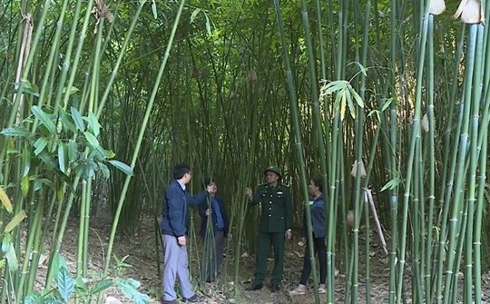Mọi nhiệm vụ tại Yên Khương đều hướng tới xây dựng thành công xã Nông thôn mới
