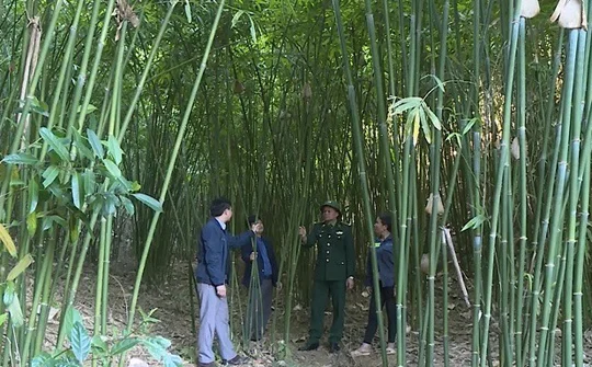 Mọi nhiệm vụ tại Yên Khương đều hướng tới xây dựng thành công xã Nông thôn mới