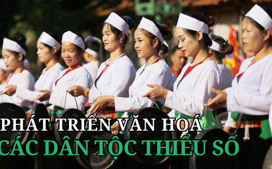 Phát triển văn hóa các dân tộc thiểu số trong chiến lược phát triển văn hóa Việt Nam