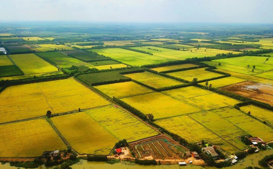 Cần bổ sung, hoàn thiện cơ chế hỗ trợ thúc đẩy tích tụ, tập trung ruộng đất thực hiện CNH, HĐH nông nghiệp, nông thôn