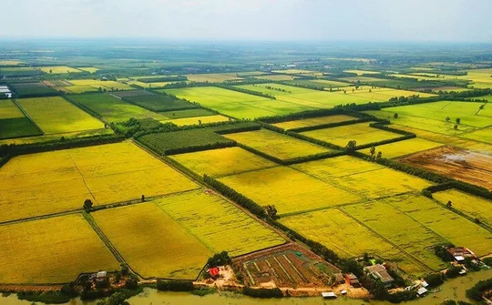 Cần bổ sung, hoàn thiện cơ chế hỗ trợ thúc đẩy tích tụ, tập trung ruộng đất thực hiện CNH, HĐH nông nghiệp, nông thôn
