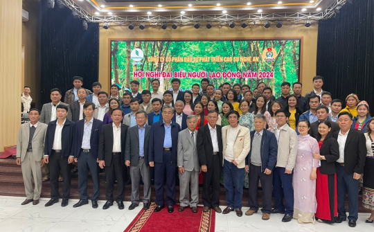 Công ty Cổ phần đầu tư phát triển cao su Nghệ An: Tăng cường quản lý, chăm sóc vườn cây vì mục tiêu phát triển bền vững