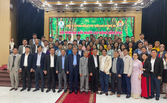 Công ty Cổ phần đầu tư phát triển cao su Nghệ An: Tăng cường quản lý, chăm sóc vườn cây vì mục tiêu phát triển bền vững