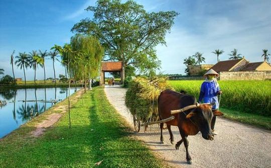 Sửa đổi một số tiêu chí, chỉ tiêu NÔNG THÔN MỚI