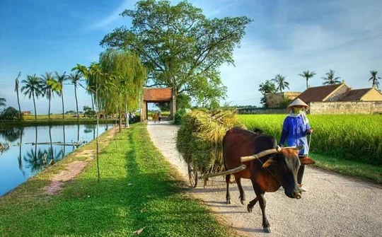 Sửa đổi một số tiêu chí, chỉ tiêu NÔNG THÔN MỚI