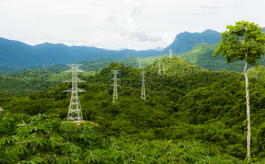 Sửa đổi, bổ sung một số điều trong Luật Lâm nghiệp