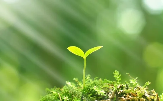 Quy hoạch tổng thể quan trắc môi trường quốc gia giai đoạn 2021 - 2030, tầm nhìn 2050