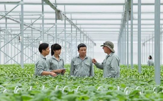 Hỗ trợ kinh tế tập thể, hợp tác xã đổi mới toàn diện